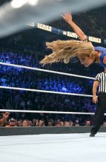 WWE - Survivor Series 2016 Digitals