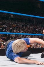 WWE - Torrie Wilson - Where Are They Now?