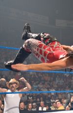 WWE - Torrie Wilson - Where Are They Now?
