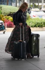 ABBIE CORNISH at Airport in Sydney 12/18/2016
