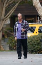 ALANIS MORISSETTE Out for Lunch in Los Angeles 12/12/2016