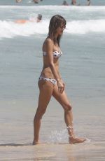 ALESSANDRA AMBROSIO in Bikini on the Beach in Florianopolis 12/29/2016