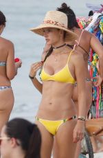 ALESSANDRA AMBROSIO in Bikini on the Beach in Santa Catarina 12/30/2016