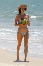 ALESSANDRA AMBROSIO in Bikini Sips on Coconut at the Beach in Florianopolis 12/20/2016