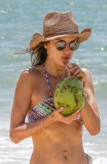 ALESSANDRA AMBROSIO in Bikini Sips on Coconut at the Beach in Florianopolis 12/20/2016