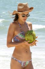 ALESSANDRA AMBROSIO in Bikini Sips on Coconut at the Beach in Florianopolis 12/20/2016