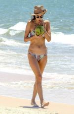 ALESSANDRA AMBROSIO in Bikini Sips on Coconut at the Beach in Florianopolis 12/20/2016