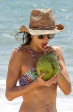 ALESSANDRA AMBROSIO in Bikini Sips on Coconut at the Beach in Florianopolis 12/20/2016