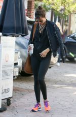 ALESSANDRA AMBROSIO Out and About in Los Angeles 12/17/2016