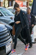 ALESSANDRA AMBROSIO Out and About in Los Angeles 12/17/2016