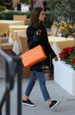 ALESSANDRA AMBROSIO Out in Malibu 12/09/2016
