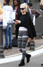 ALESSANDRA TORRESANI Out Shopping in Hollywood 12/13/2016