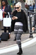 ALESSANDRA TORRESANI Out Shopping in Hollywood 12/13/2016