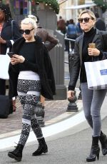 ALESSANDRA TORRESANI Out Shopping in Hollywood 12/13/2016