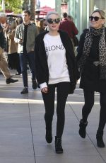 ALESSANDRA TORRESANI Out Shopping in Los Angeles 12/19/2016