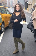 ALY RAISMAN Out and About in New York 12/07/2016