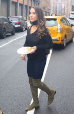 ALY RAISMAN Out and About in New York 12/07/2016