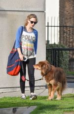 AMANDA SEYFRIED and Her Dog Finn Out in Los Angeles 12/14/2016