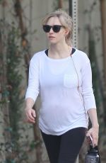 AMANDA SEYFRIED Out with Her Dog in Los Angeles 12/07/2016
