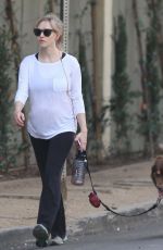 AMANDA SEYFRIED Out with Her Dog in Los Angeles 12/07/2016