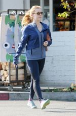 AMY ADAMS Out and About in Hollywood 12/08/2016