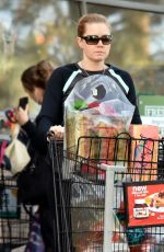 AMY ADAMS Shopping Grocery in Studio City 12/01/2016