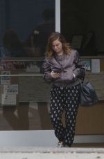 AMY POEHLER Leaves Animal Hospital in West Hollywood 12/11/2016