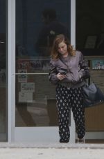 AMY POEHLER Leaves Animal Hospital in West Hollywood 12/11/2016