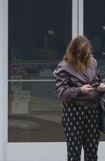 AMY POEHLER Leaves Animal Hospital in West Hollywood 12/11/2016
