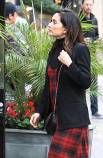 ANA DE LA REGUERA Out for Shopping in Los Angeles 12/12/2016