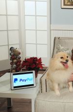 ASHLEY BENSON Promotes Paypal