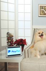 ASHLEY BENSON Promotes Paypal