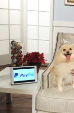 ASHLEY BENSON Promotes Paypal