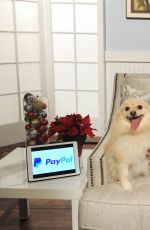 ASHLEY BENSON Promotes Paypal