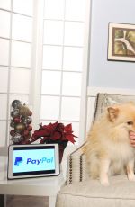 ASHLEY BENSON Promotes Paypal
