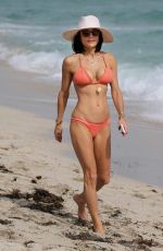 BETHENNY FRANKEL in Bikini at a Beach in Miami 12/03/2016