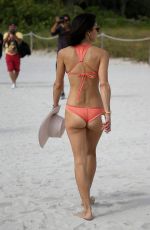 BETHENNY FRANKEL in Bikini at a Beach in Miami 12/03/2016