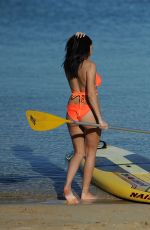 CHLOE GOODMAN in Bikini Paddle Boarding in Mexico 12/25/2016