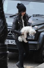 DAISY LOWE Walks Her Dog at Regents Park in London 12/15/2016