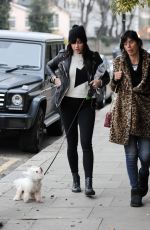 DAISY LOWE Walks Her Dog at Regents Park in London 12/15/2016