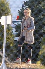 ELSA PATAKY Shopping Christmas Tree in Malibu 12/08/2016