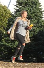ELSA PATAKY Shopping Christmas Tree in Malibu 12/08/2016
