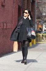 FAMKE JANSSEN Out Shopping in New York 12/23/2016