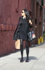 FAMKE JANSSEN Out Shopping in New York 12/23/2016