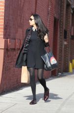 FAMKE JANSSEN Out Shopping in New York 12/23/2016