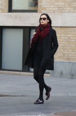 FAMKE JANSSEN Out Shopping in New York 12/23/2016