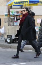 FAMKE JANSSEN Out Shopping in New York 12/23/2016