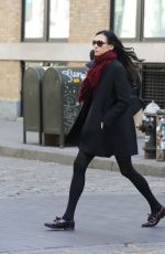 FAMKE JANSSEN Out Shopping in New York 12/23/2016