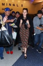 FELICITY JONES at LAX Airport in Los Angeles 11/30/2016
