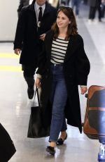 FELICITY JONES at Narita International Airport in Tokyo 12/06/2016